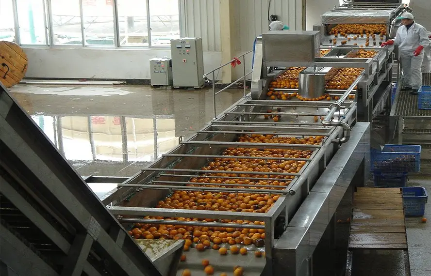 Dây chuyền rửa trái cây công nghiệp bằng inox
